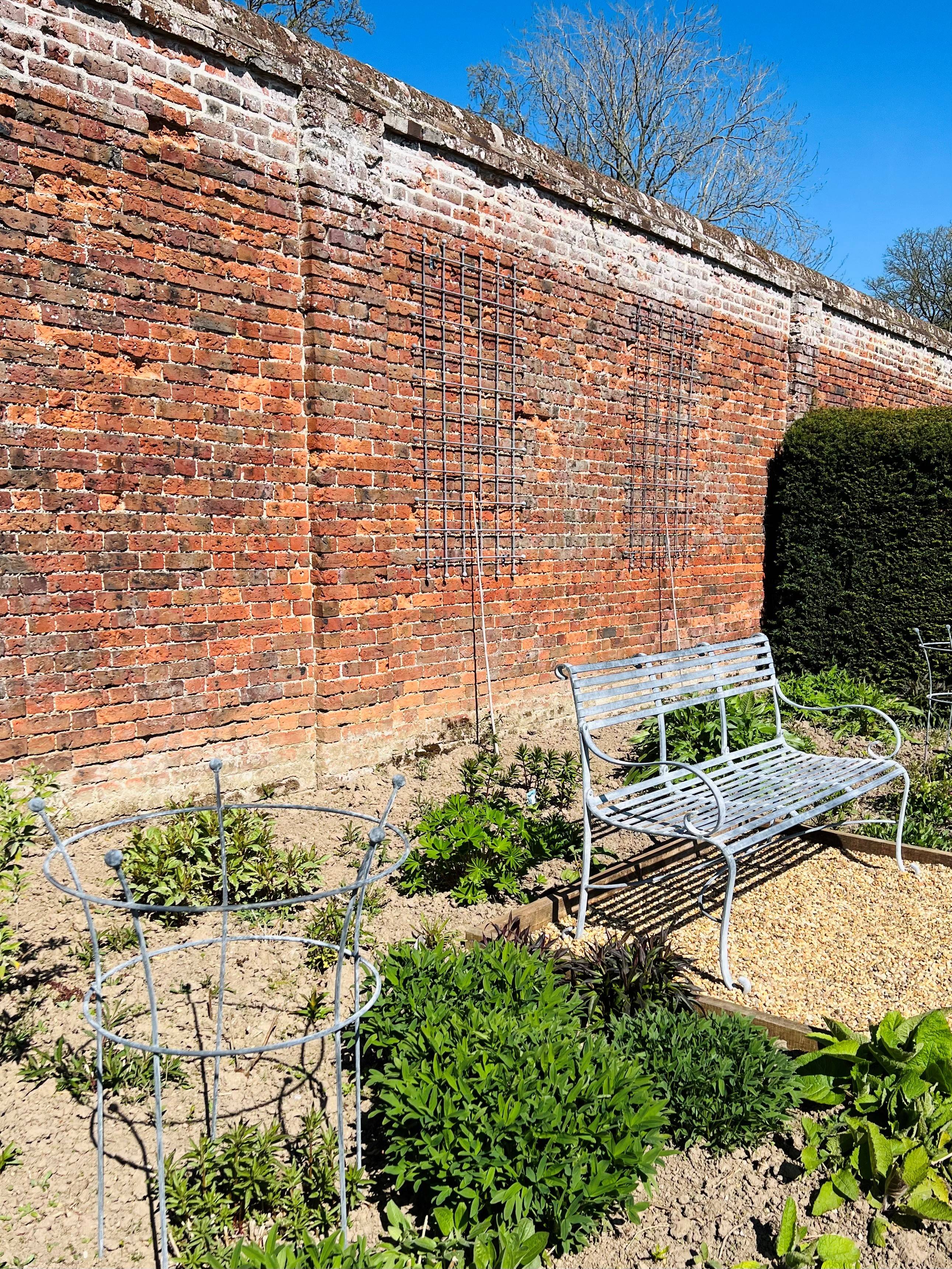 Hoveton Bench, trumpet and trellis april